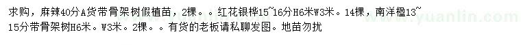 求購麻楝、紅花銀樺、南洋楹