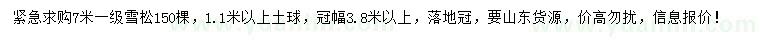 求購7米雪松