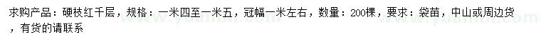 求購高1.4-1.5米硬枝紅千層