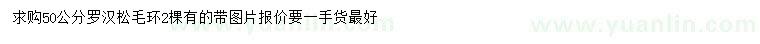 求購50公分羅漢松
