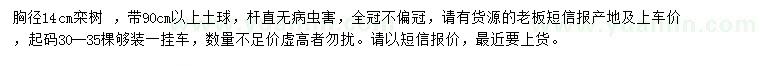 求購(gòu)胸徑14公分欒樹(shù)