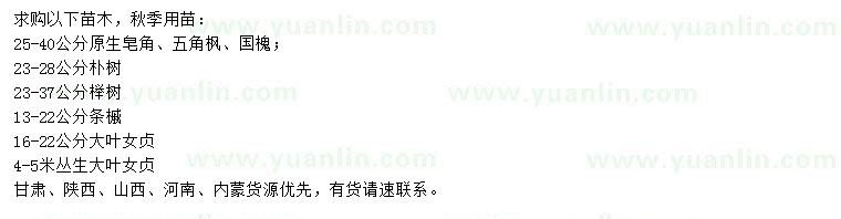 求購(gòu)皂角、五角楓、國(guó)槐等
