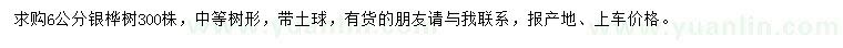 求購6公分銀樺樹
