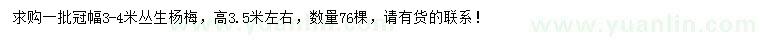 求購冠3-4米叢生楊梅