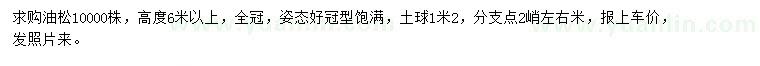 求購高6米以上油松