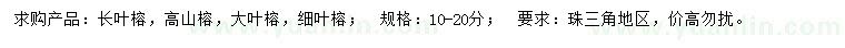 求購長葉榕、高山榕、大葉榕等