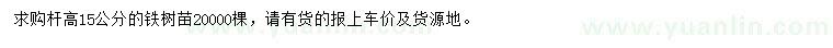 求購桿高15公分鐵樹苗