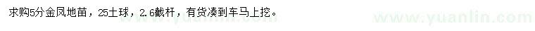 求購5公分金鳳