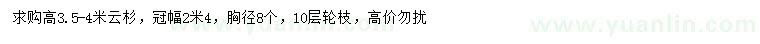 求購高3.5-4米云杉