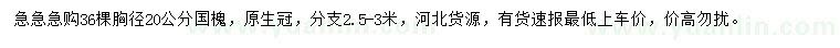 求購胸徑20公分國槐