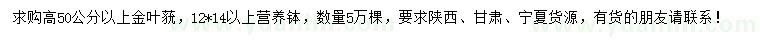 求購高50公分以上金葉蕕