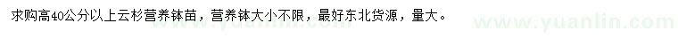 求購(gòu)高40公分以上云杉