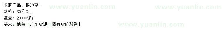 求購(gòu)高30公分銀邊草