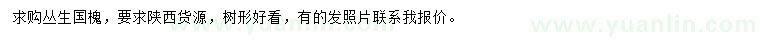 求購叢生國槐