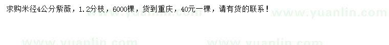 求購米徑4公分紫薇
