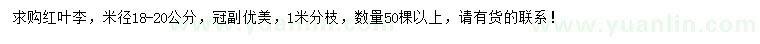 求購(gòu)米徑18-20公分紅葉李