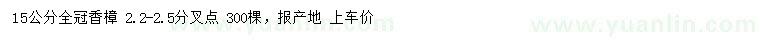 求購15公分全冠香樟