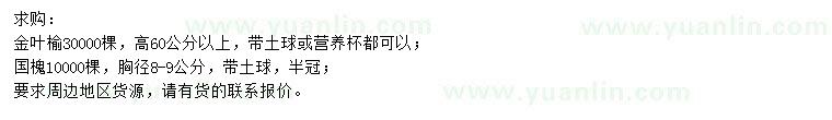 求購高60公分以上金葉榆、胸徑8-9公分國槐