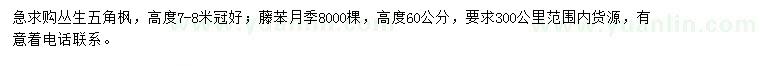 求購(gòu)高7-8米叢生五角楓、高60公分藤本月季