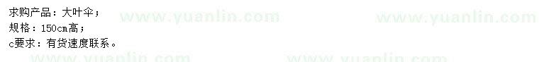 求購(gòu)150公分高大葉傘