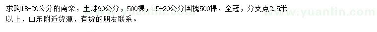 求購18-20公分南欒、15-20公分國槐