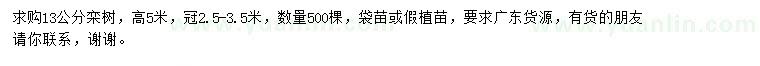 求購13公分欒樹