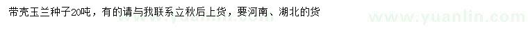 求購二喬玉蘭種子