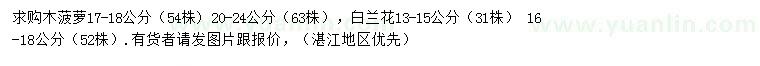 求購17-18、20-24公分木菠蘿、13-15、16-18公分白玉蘭