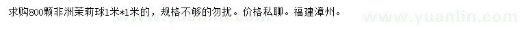 求購1米*1米非洲茉莉球