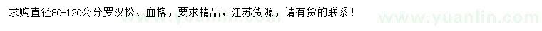 求購(gòu)直徑80-120公分羅漢松、血榕