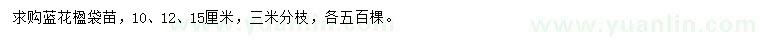 求購(gòu)10、12、15公分藍(lán)花楹