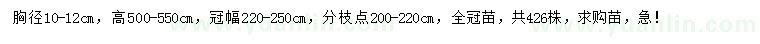 求購胸徑10-12公分廣玉蘭
