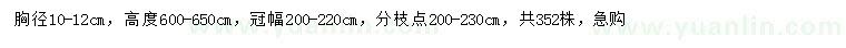 求購(gòu)胸徑10-12公分水杉