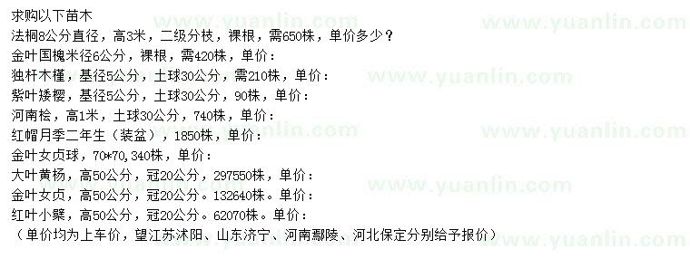 求購法桐、金葉國槐、木槿等