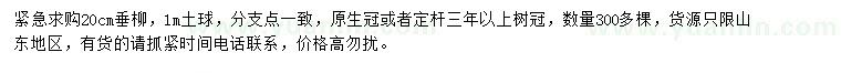 求購20公分垂柳