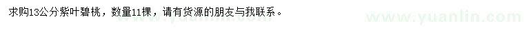 求購13公分紫葉碧桃