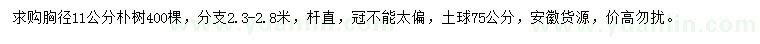 求購胸徑11公分樸樹