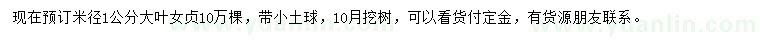 求購(gòu)米徑1公分大葉女貞