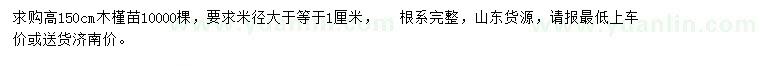 求購高150公分木槿苗