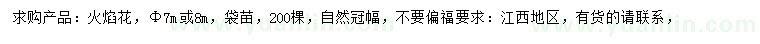 求購(gòu)7或8公分火焰木