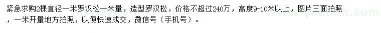求購1米量1米羅漢松