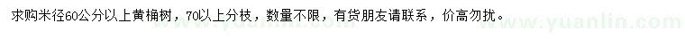 求購(gòu)米徑60公分以上黃桷樹(shù)