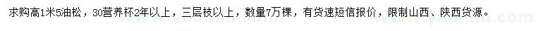 求購高1.5米油松