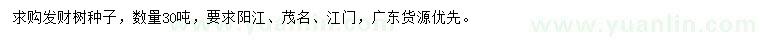 求購發(fā)財樹種子