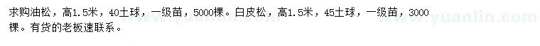 求購高1.5米油松、白皮松