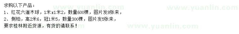 求購(gòu)1*1.2米紅花六道木球、高2.6米側(cè)柏