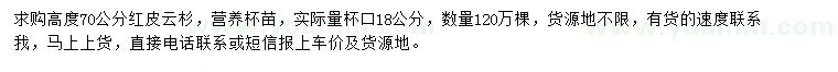 求購高70公分紅皮云杉