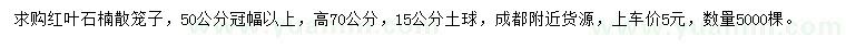 求購冠幅50公分以上紅葉石楠散籠子