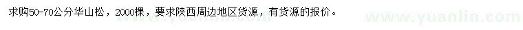 求購50-70公分華山松