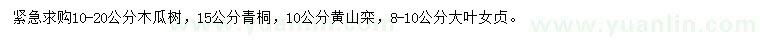 求購木瓜樹、青桐、黃山欒